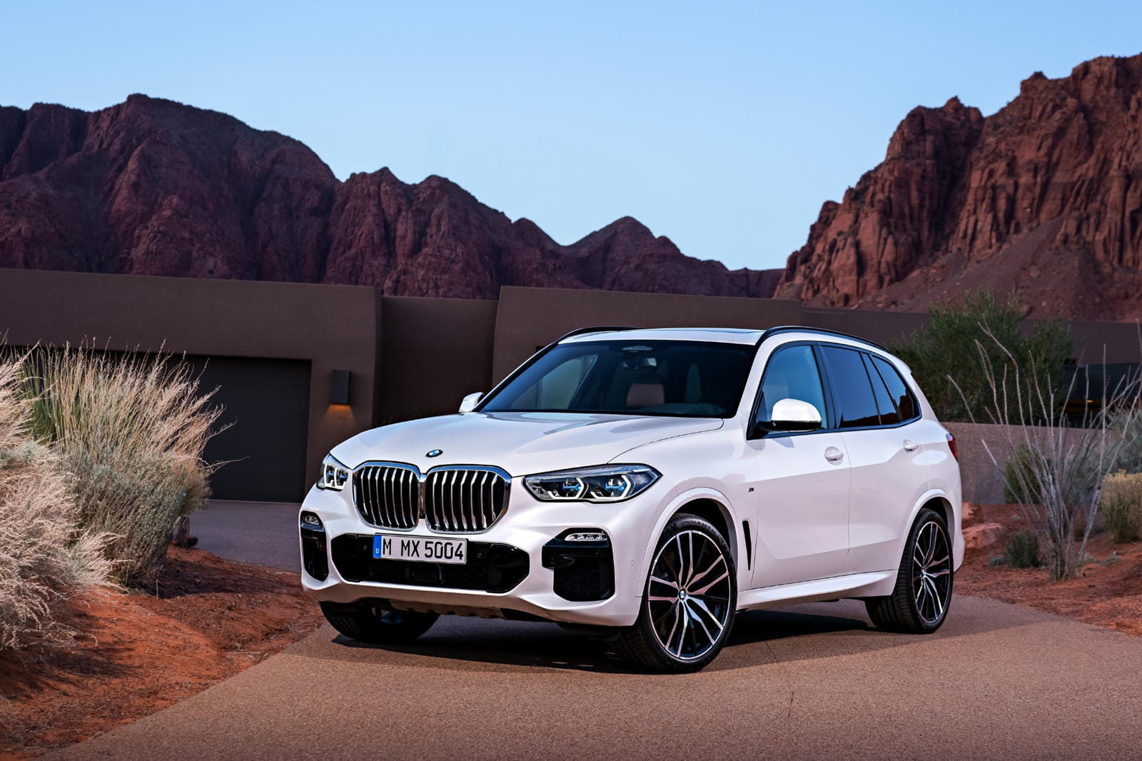 2021 BMW X5