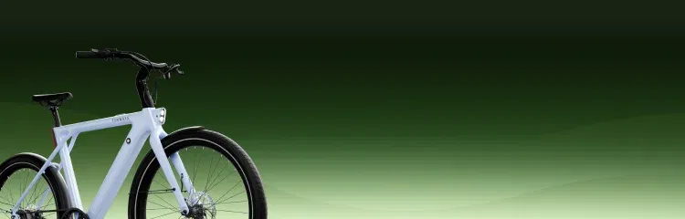 Why Electric Bicycle Sales Are Exploding in America: The Complete Guide for 2025